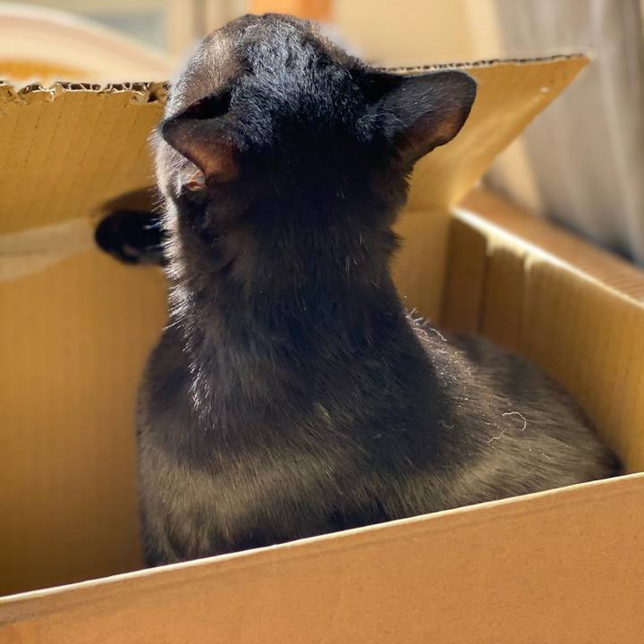 C12b4bb1 a4a0 4584 a015 2267305b1cfa 1649645800707