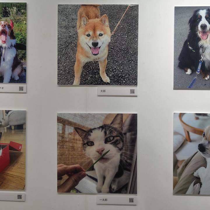 C12b6a4b 57c4 48aa bc38 adcd8cafc390 1762152881079