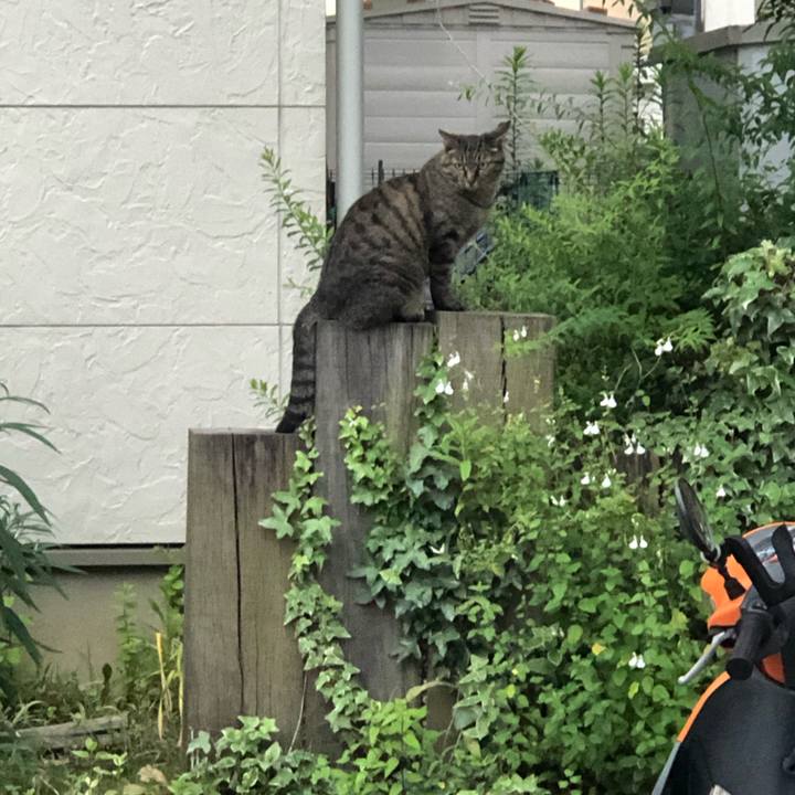 C12b70b5 0774 4c4b a019 fc541076233b 1591438613152