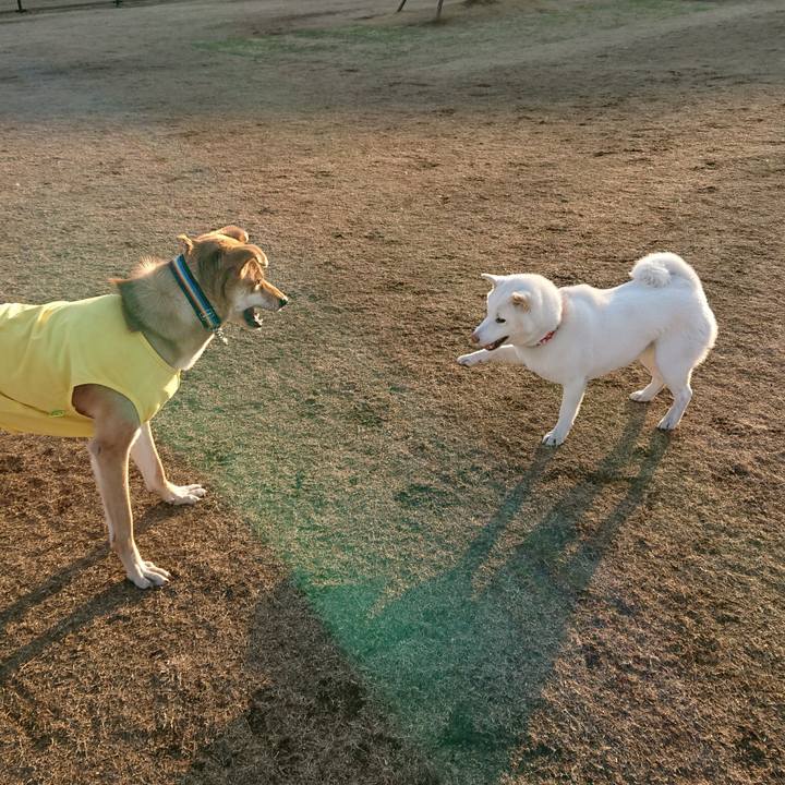 C12b7f86 a3d0 46b9 b01f 21c2fd1bd28b 1513837762147