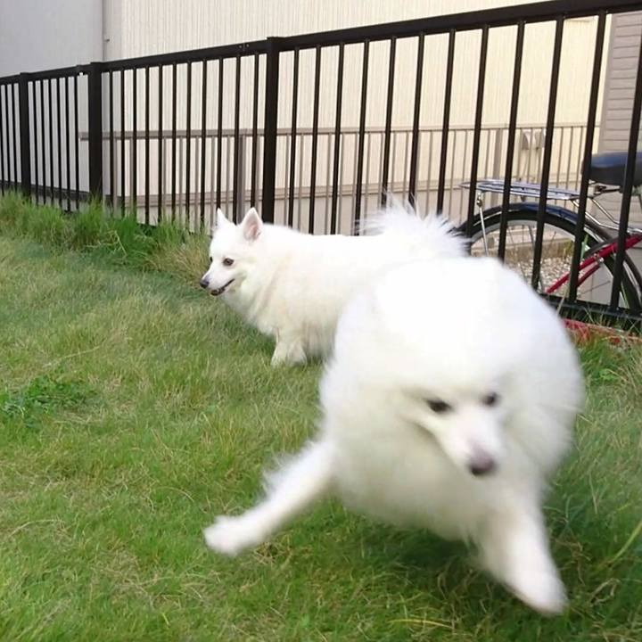 C12b8c25 d18f 4268 8258 bb427f62805e 1572914988949