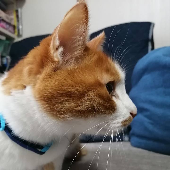 C12b964e 5519 4197 a326 aa831d6f0a5c 1616625843295