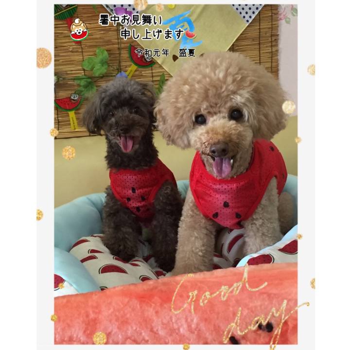 C12ba570 fc8e 4e46 b444 edb077674b23 1564382371767