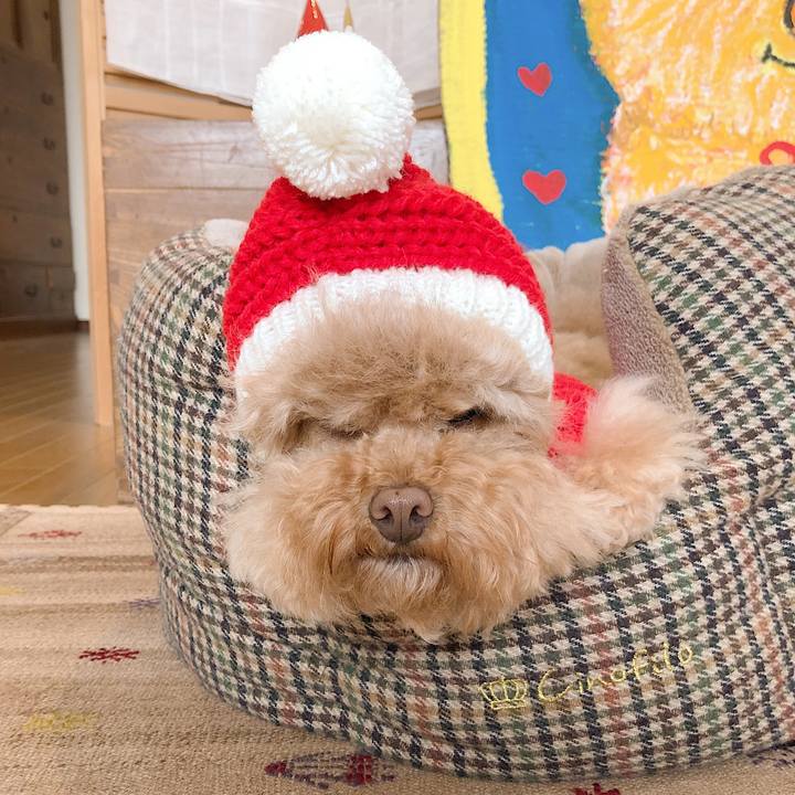 C12bf214 0954 4d8e bab9 ae98c1830f14 1545217010969