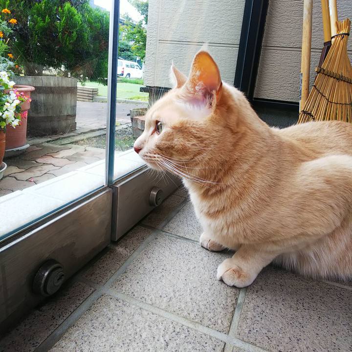 C12c08b4 cb1e 498d 8c89 578fdb302850 1663556234184