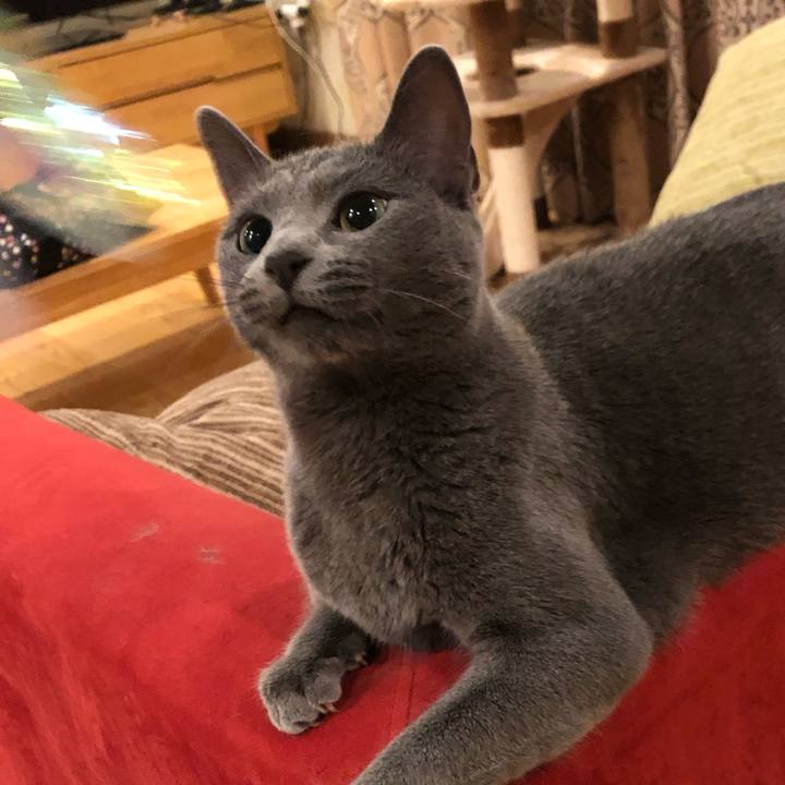 C12c172d 241f 4389 b4e8 6d9afe36c28f 1572946449457