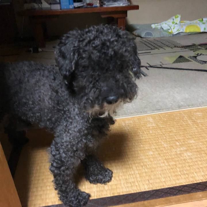 C12c2ce6 6100 41ea bebb 278bcbfd9dcf 1532738659848