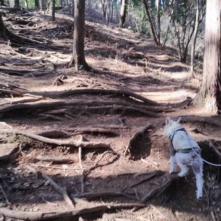 C12c3661 2e67 4f07 8368 2ae95a63b223 1771759632535