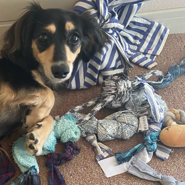 C12c997b 4a3f 492b 8861 4a95686f7463 1699926096035