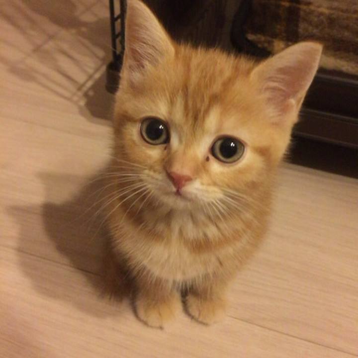 C12cc7de ec9e 401b bc72 024d264ab7e7 1522278940733