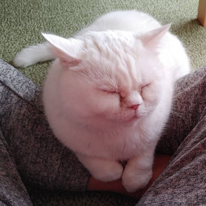 C12cd658 499f 465a b407 0126258a5ae1 1643514729058