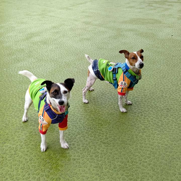 C12ce045 4bb4 4bbe b2ae 1f5dc09edefe 1633580855850