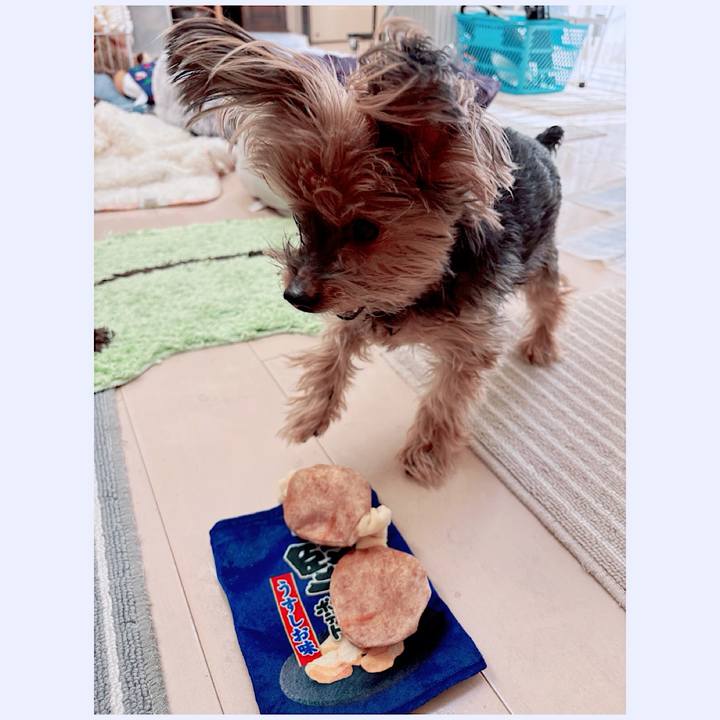 C12cf606 40d2 4ba6 ba96 c6af03093786 1769225025098