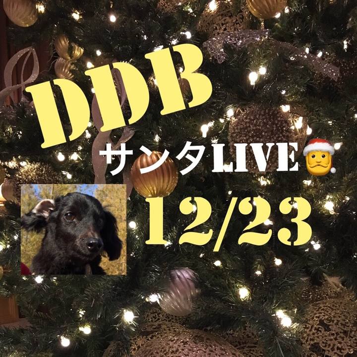 C12d12cc 0989 4f7e 9a7e 3fa76324806e 1545436227227