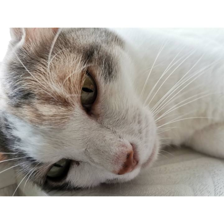 C12d9e36 7596 4073 9558 5f19f454a671 1661743664521