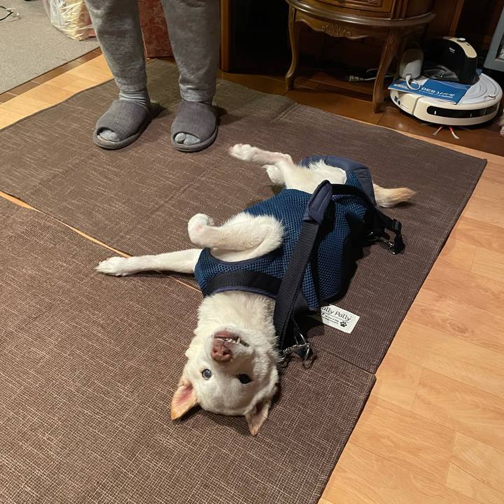 C12d9f7b 80c2 4795 93ab b79d699b40de 1678710923160