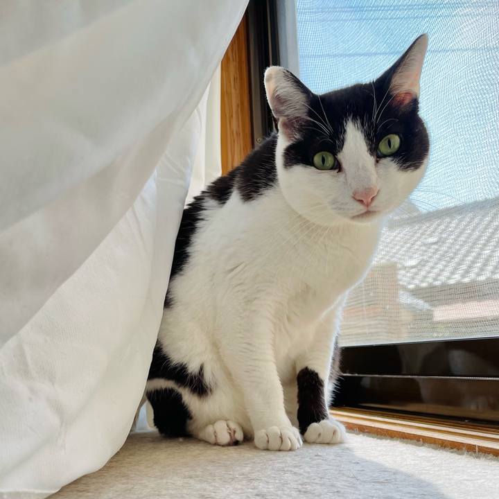 C12dacca 5b77 4262 89f4 1def27ecb3d8 1654738934292