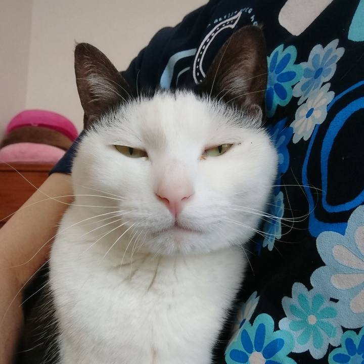 C12dad5e 72c3 42a3 bf6c 6fd4fd92e394 1556864457729