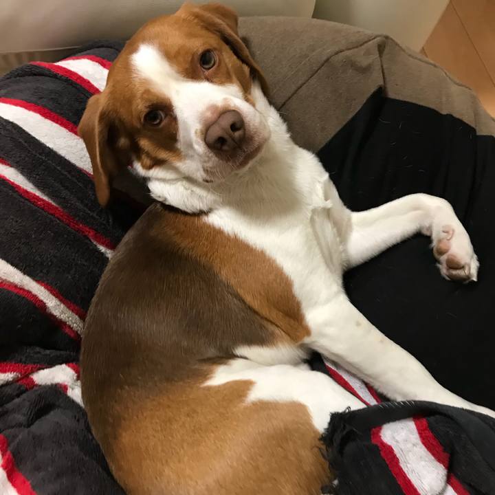 C12e072d 983c 421a bdf3 40e3c2cd44a6 1518754011750