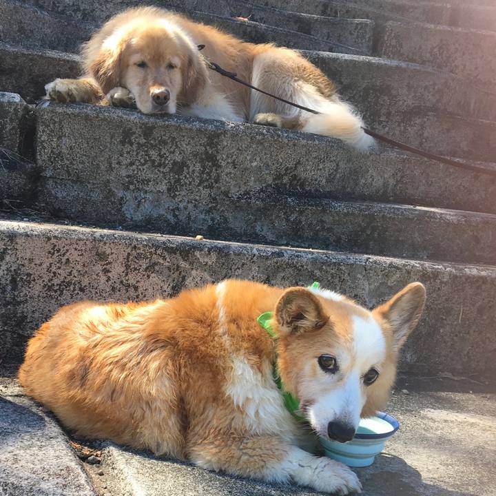 C12e669d 9997 499f adab c55f98c6201b 1568870221037