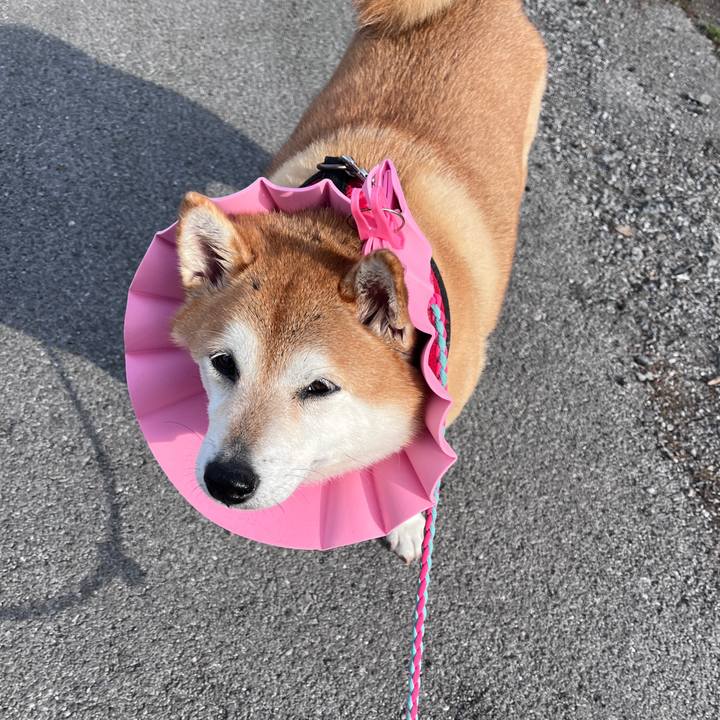 C12e8b01 bff9 4b12 aaf5 4ada576d100c 1705123372873