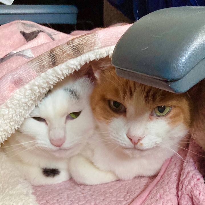 C12e8f44 f82c 48bc b9ed 94580824e2f6 1639524842764