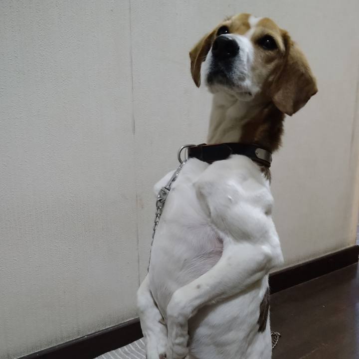 C12e9d9d 8b20 4e9b 8ffc 93cbb4811bd6 1645361621070