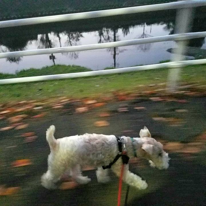 C12ebb6c a26e 41a9 8904 8ea2104ecd1e 1542773998079