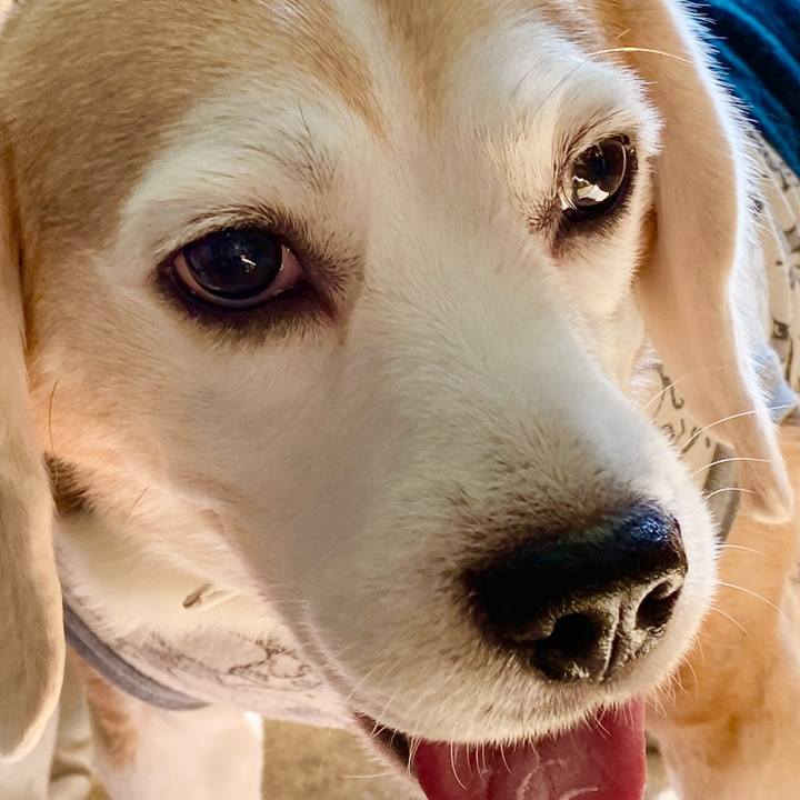 C12f026c 9664 4229 9dec 3e77dd38a5ec 1605941900993