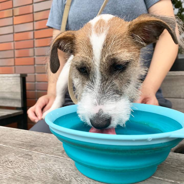 C12f29ac 87b8 40ce 8c50 29f9bd25ca5e 1563707152347