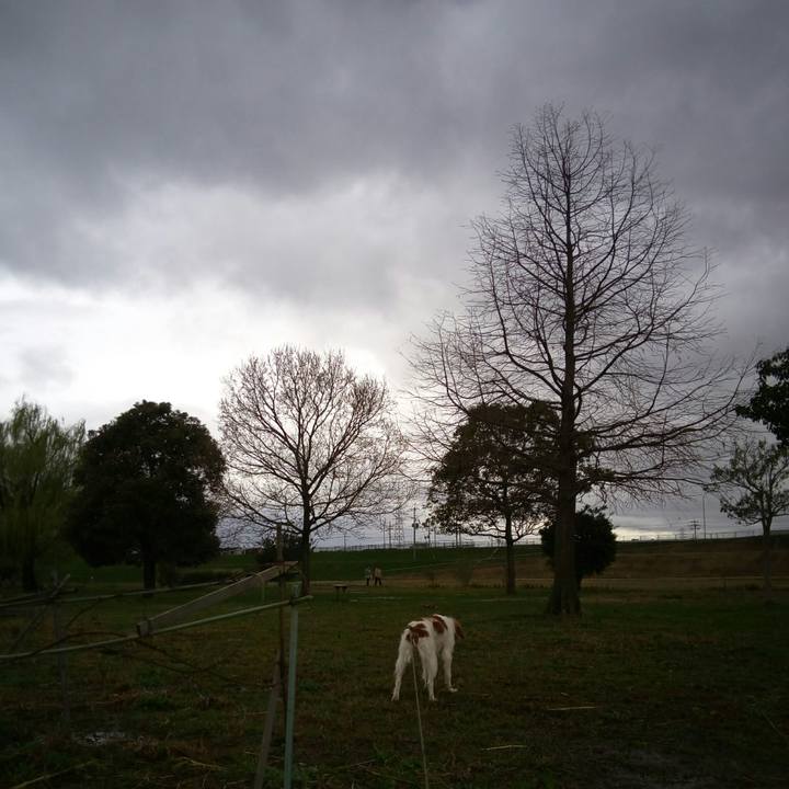 C12f5072 5a77 4458 b169 51780f562c44 1521186642847