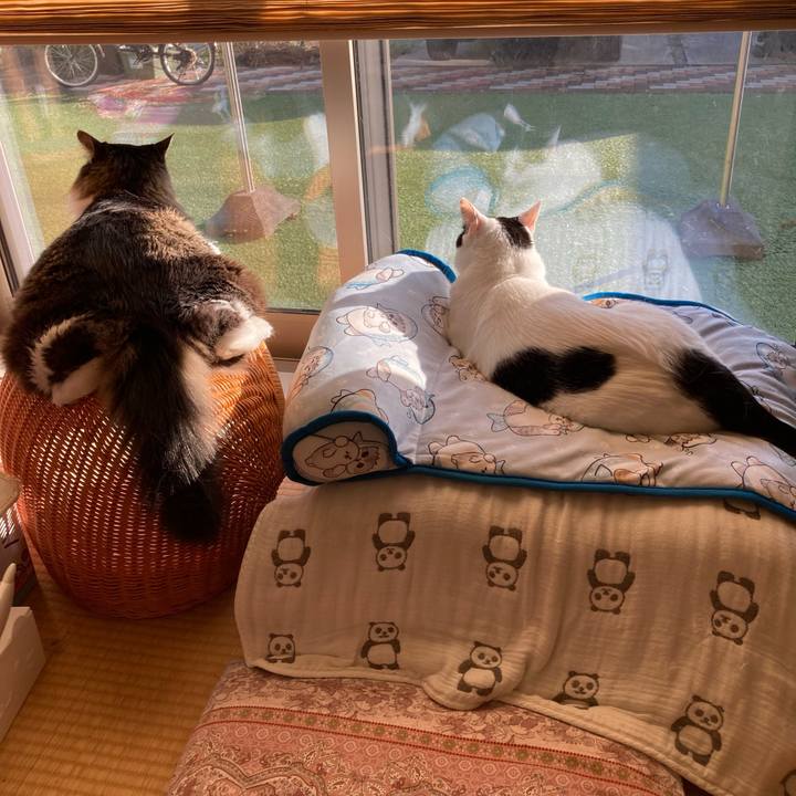 C12f6847 ddb8 432d a385 2a056a0bb028 1757229421221