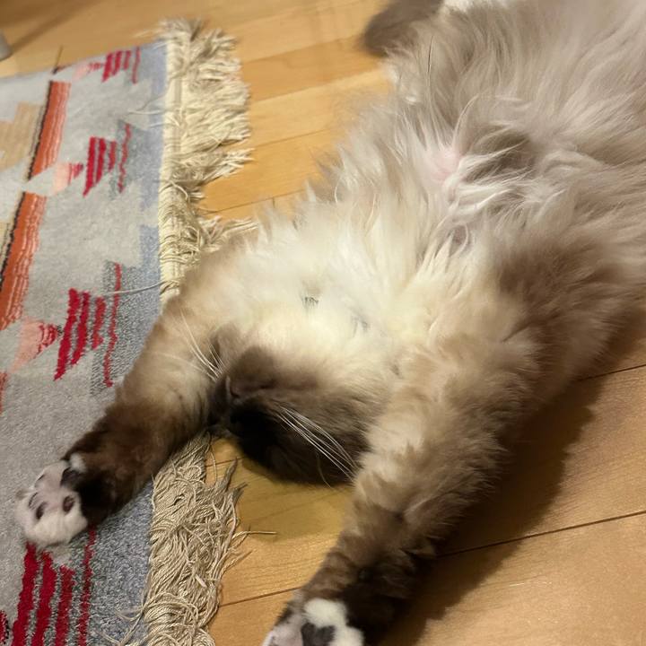 C12fb4a8 8044 4c46 a81a 5af7cfbcc56c 1680701551660