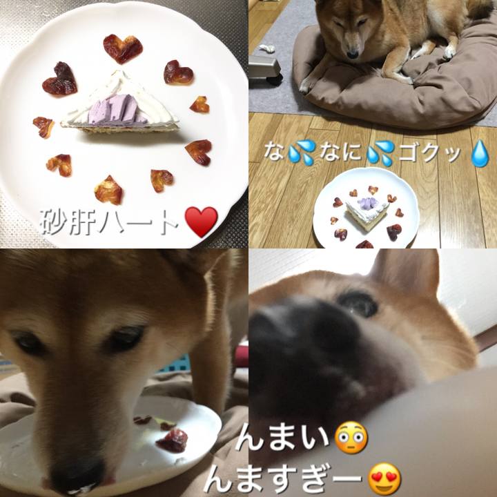 C12fc412 0a75 4c9b 97fc c90e2d402428 1571834932370