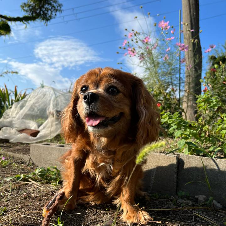 C1300225 3cd7 40ea 8351 1f6bbf02c196 1698450856591