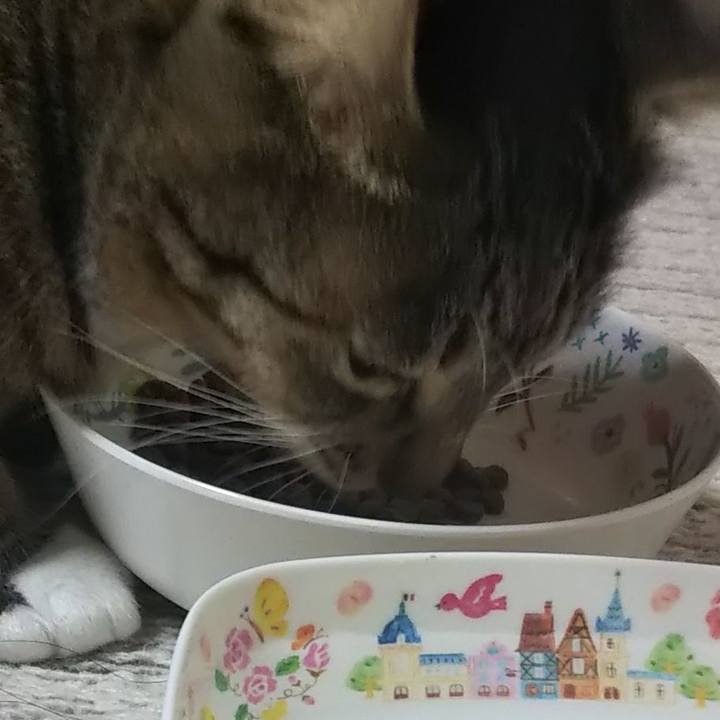 C13004ab 6ad1 403c a7ec ca4d7370987f 1614746352660