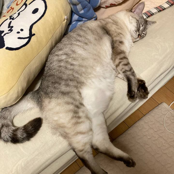 C130089a f706 46a6 bf0f 8aee4f446c15 1747150040760