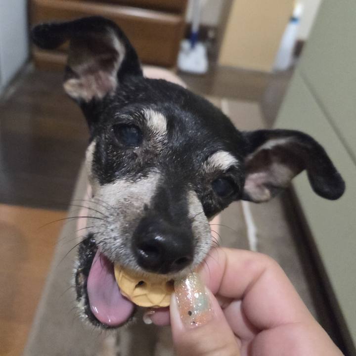 C130191b d688 4deb 9511 9d0f36e26ed9 1758224355803