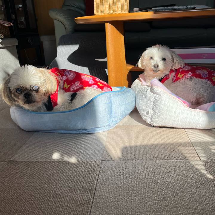 C13021a3 f46b 4c24 98c4 c1e7b53e30a5 1733707862189