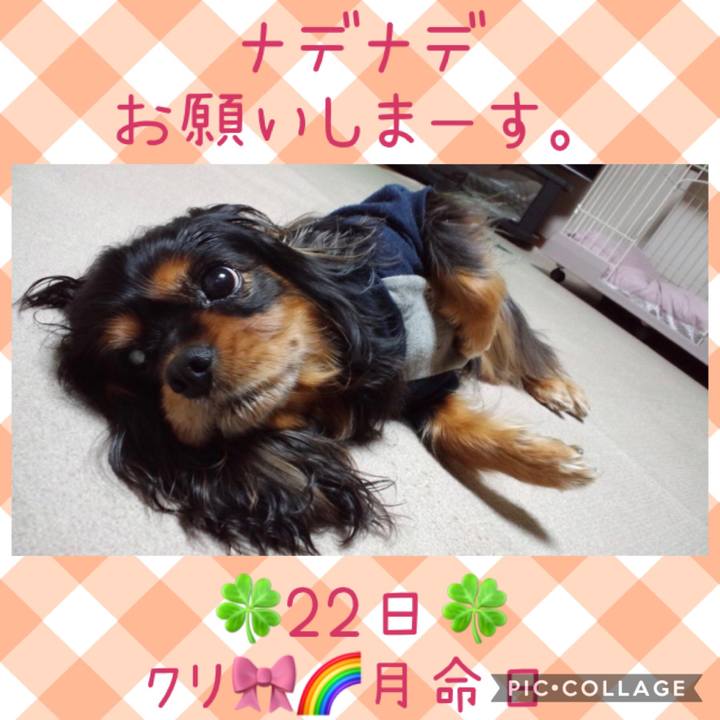 C130358e baae 4450 ace2 3e5b4bc03bd6 1603338178797