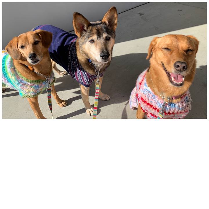 C130477e 7eb2 4233 a6a4 dc16d84024cf 1575541439920