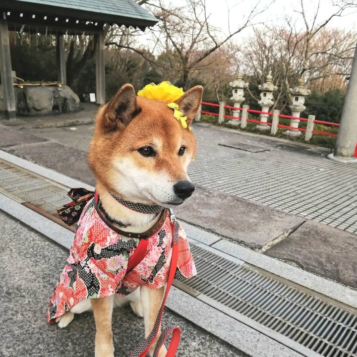 C130a403 e597 4669 963d 8987e6c08f47 1581079346359