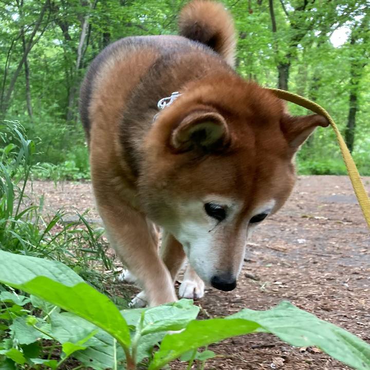 C130bc0d 144a 4bb8 bc0b 5ccafd7e58d6 1652083087246