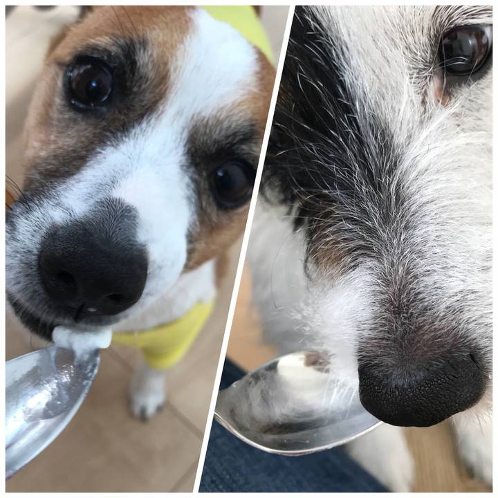 C130cd01 dc9b 4749 88af 79c2a24e4fd5 1522969035682