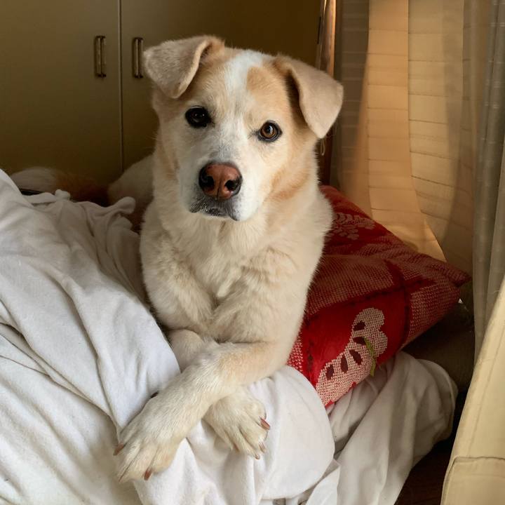 C131049e c988 4235 a1cb b19647355d3e 1634079667817