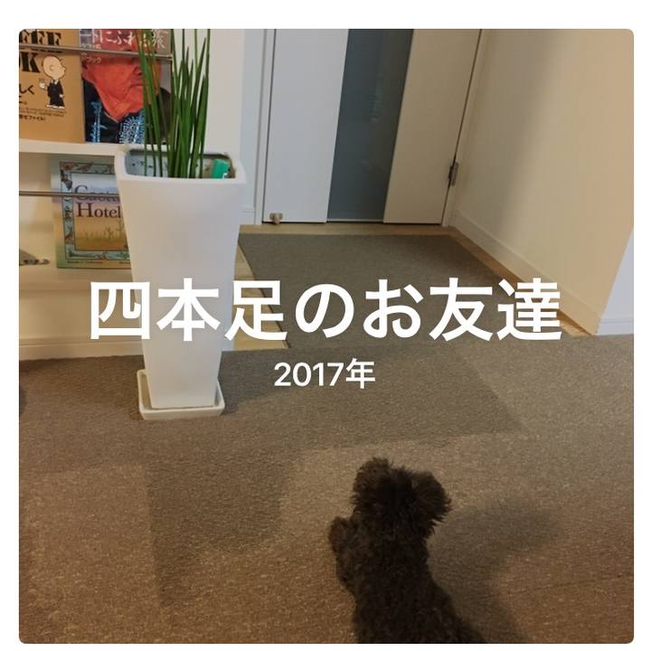 C1310599 09d2 48ac b356 8f4ad09ff51e 1517145604217