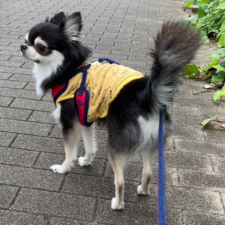 C13111d8 14f7 452c afa5 e90834510ad0 1699679647138