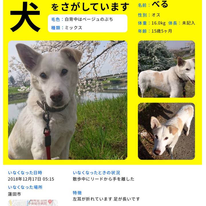 C131512d fe3d 4273 8991 5454f3bb521c 1556721050776