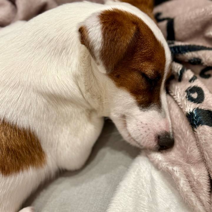 C131754c ff46 476f 9f8a 9e0b0e149337 1748565767657