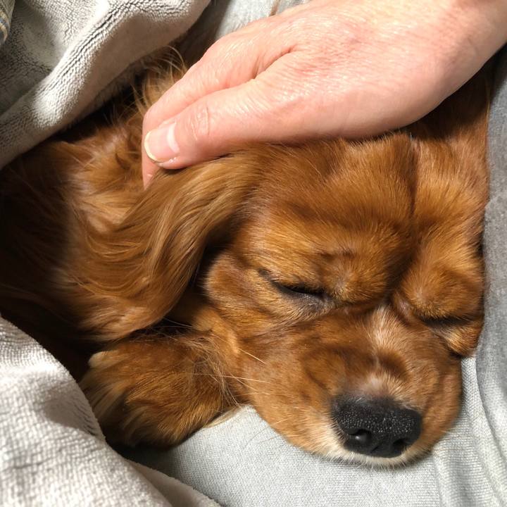 C131bf6f ae25 4b8b 99b7 b51730865739 1550839132988